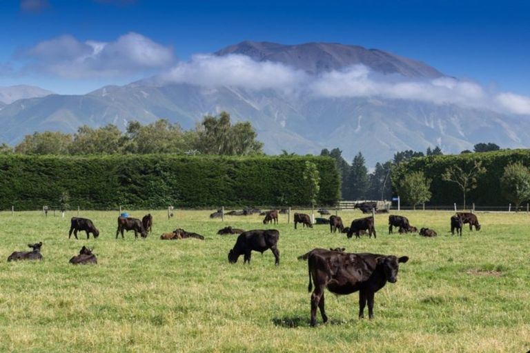 Photo of property in 307 Waimarama Road, Methven, Rakaia, 7782