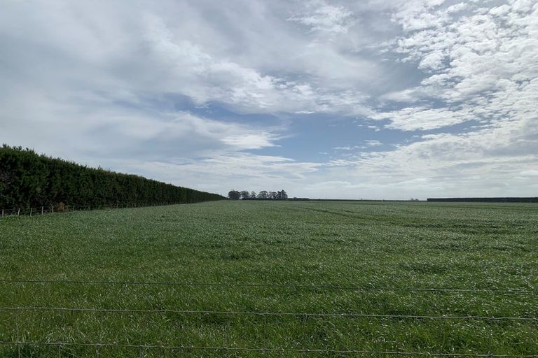 Photo of property in 158 Bealey Road, Kirwee, Christchurch, 7671