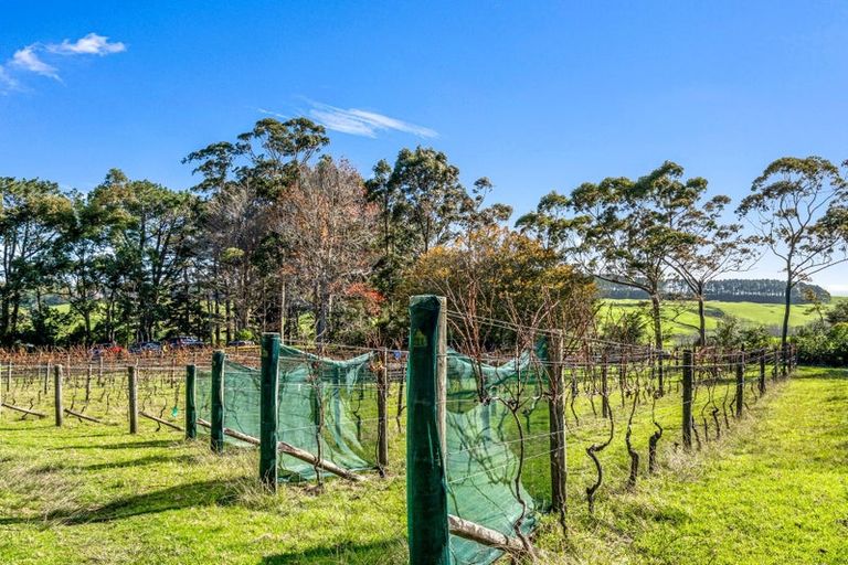 Photo of property in 151 Shelly Beach Road, South Head, Helensville, 0874