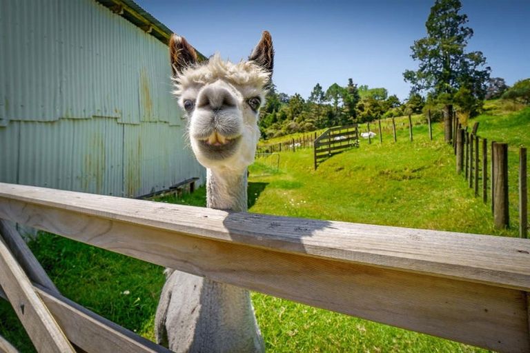 Photo of property in 1414 Pohuehue Road, Warkworth, 0983