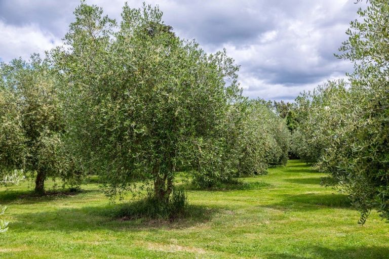 Photo of property in 672g Te Whiti Road, Te Whiti, Masterton, 5884