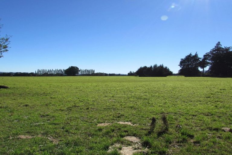 Photo of property in 274 Sheddan Road, Tapanui, 9587