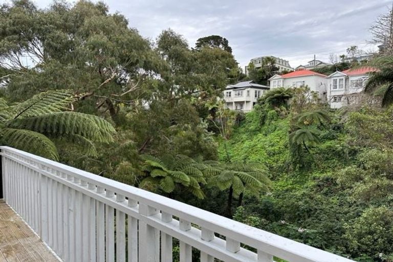 Photo of property in 3/133 Kelburn Parade, Kelburn, Wellington, 6012