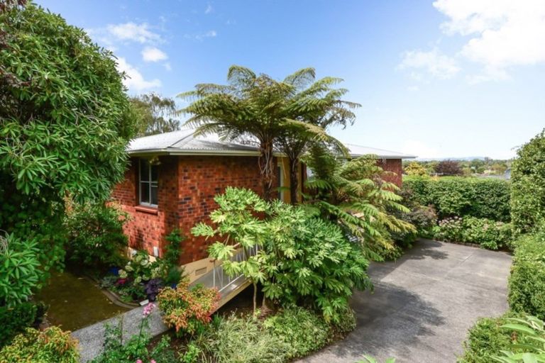 Photo of property in 50 Hillcrest Road, Hillcrest, Hamilton, 3216