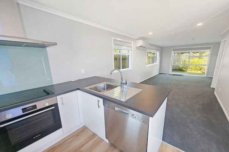 Photo of property in 63b Lincoln Avenue, Epuni, Lower Hutt, 5011