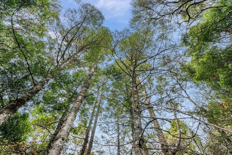 Photo of property in 55 Waipuna Road, Maunu, Whangarei, 0110