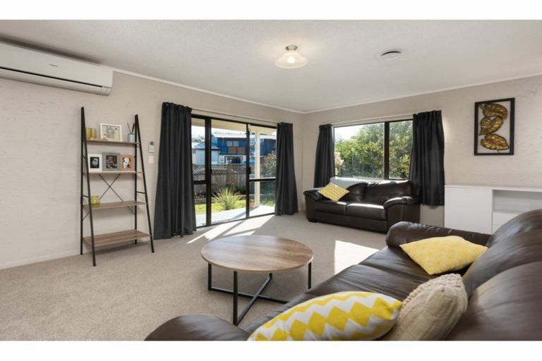 Photo of property in 14 College Place, Poike, Tauranga, 3112