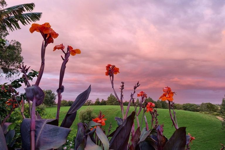 Photo of property in 1524 Te Pahu Road, Karamu, Hamilton, 3285