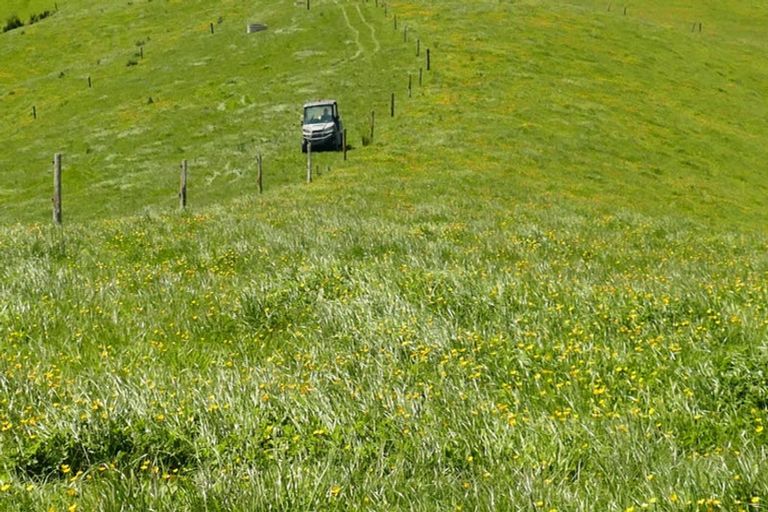 Photo of property in 361 Martin Road, Waerenga, Te Kauwhata, 3781