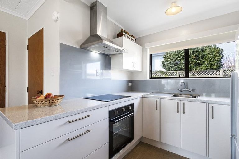 Photo of property in 4/12 Buchanan Street, Matamata, 3400