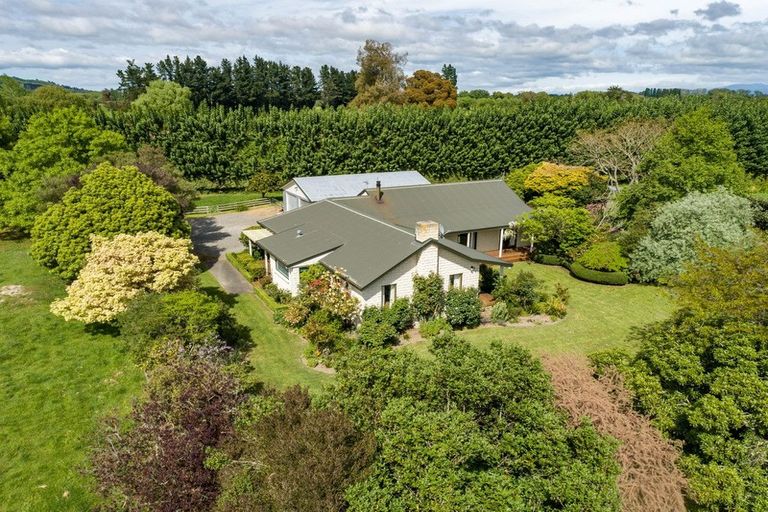 Photo of property in 94 Kahikatea Road, Te Ore Ore, Masterton, 5886