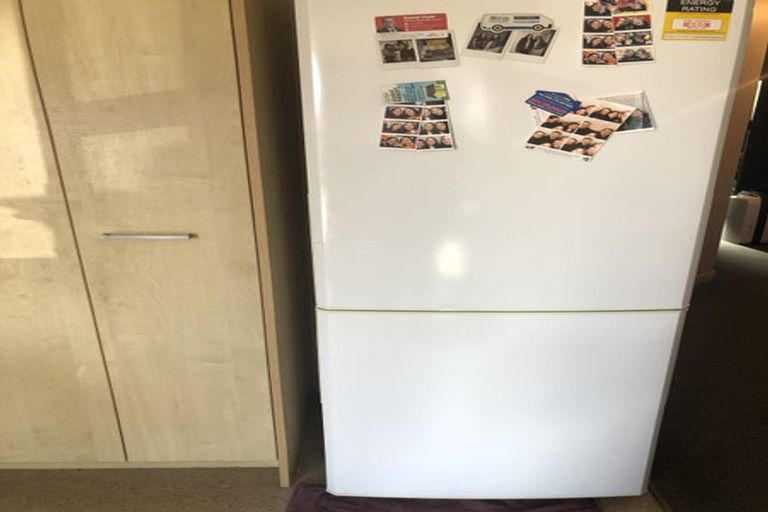 Photo of property in 17 Titan Street, North Dunedin, Dunedin, 9016