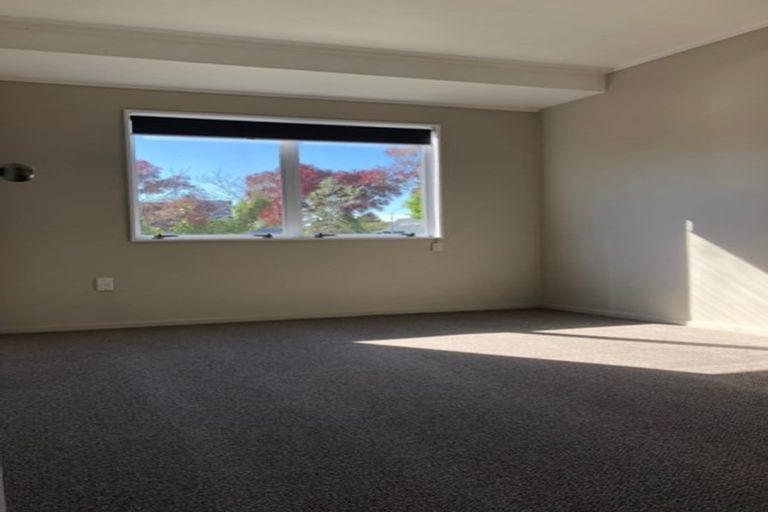 Photo of property in 92a Clarence Street, Hamilton Lake, Hamilton, 3204