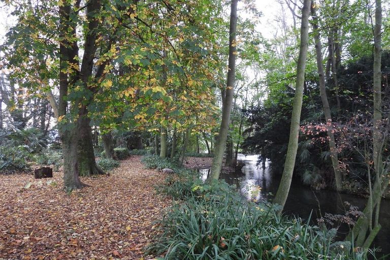 Photo of property in Ashfield, 410 Orari Station Road, Geraldine, 7992