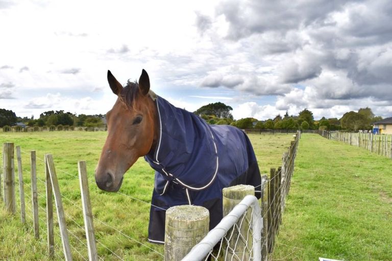 Photo of property in 126 Gear Road, Te Horo, Otaki, 5582