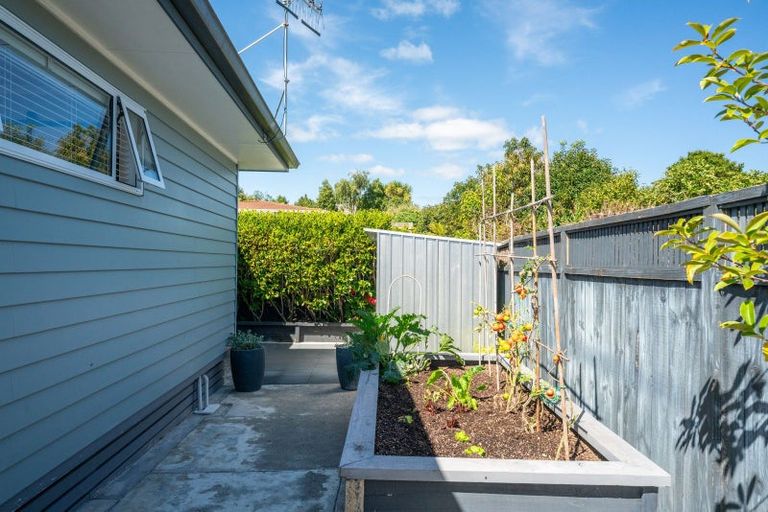 Photo of property in 18b Karamu Street, Taupo, 3330