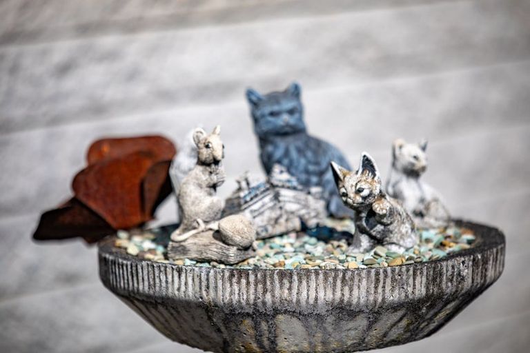 Photo of property in 3 Dalton Crescent, Dinsdale, Hamilton, 3204