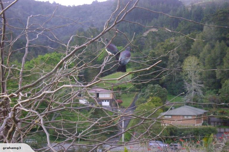 Photo of property in 20 Willow Place, Horahora, Whangarei, 0110