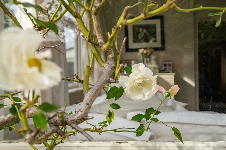 Photo of property in 6 Penrose Street, Woburn, Lower Hutt, 5010