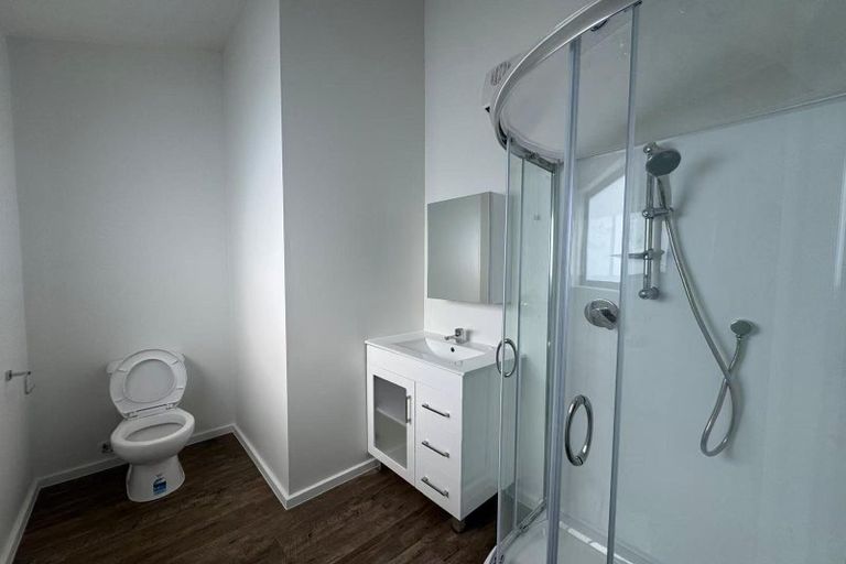 Photo of property in 70a Liardet Street, Vogeltown, Wellington, 6021