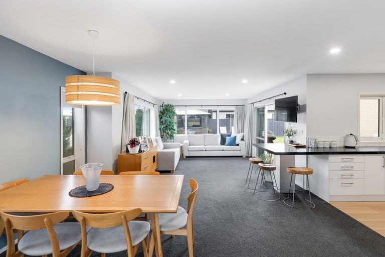 Photo of property in 16 Chimera Street, Pegasus, 7612