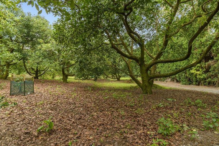 Photo of property in 71 Plummers Point Road, Whakamarama, Tauranga, 3172