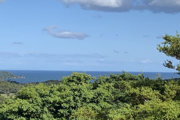 Photo of property in 133 Pukenui Road, Ngunguru, Whangarei, 0173