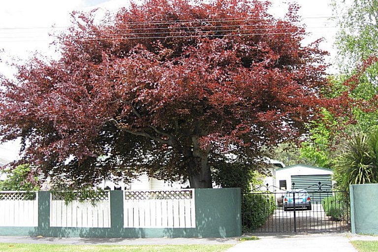 Photo of property in 5 Leitrim Street, Redwoodtown, Blenheim, 7201