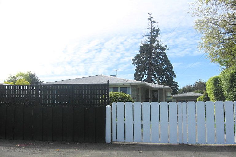Photo of property in 10 Dillon Street, Blenheim, 7201