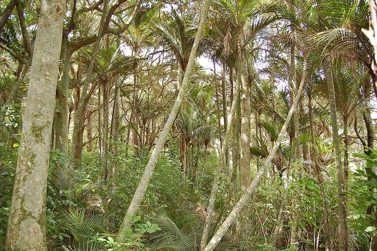 Photo of property in 280c Baldrock Road, Kaiwaka, Maungaturoto, 0587