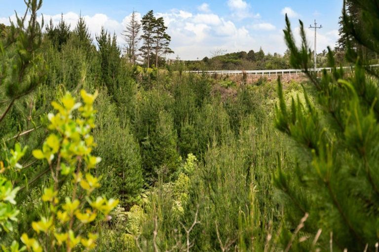 Photo of property in 80 Cameron Town Road, Pukekohe, 2678