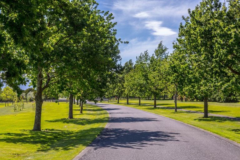 Photo of property in 5 Eagle Place, Martinborough, 5711