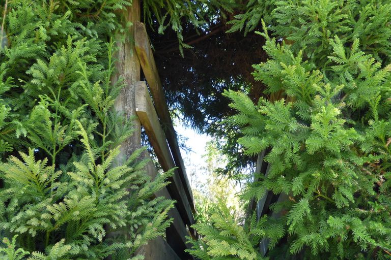 Photo of property in 2276b State Highway 10, Waipapa, Kerikeri, 0295