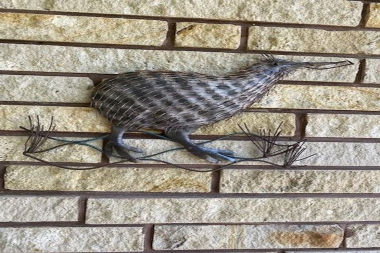 Photo of property in 722 Mcclure Street, Pirongia, 3802