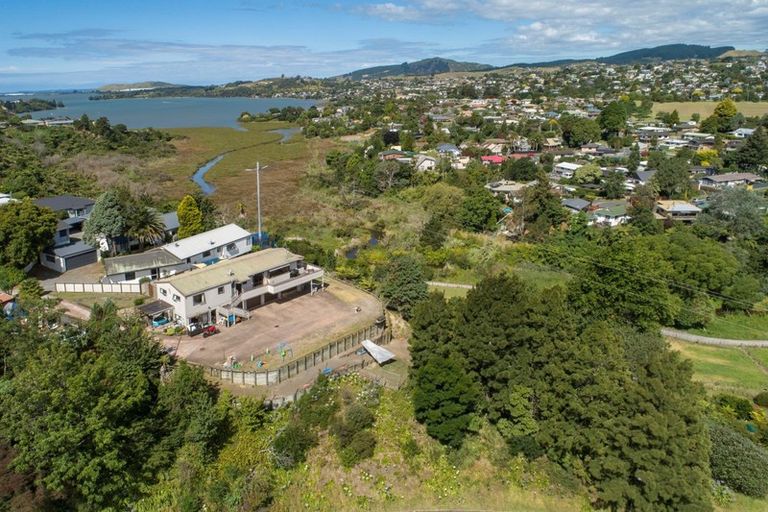 Photo of property in 48 Hammond Street, Hairini, Tauranga, 3112