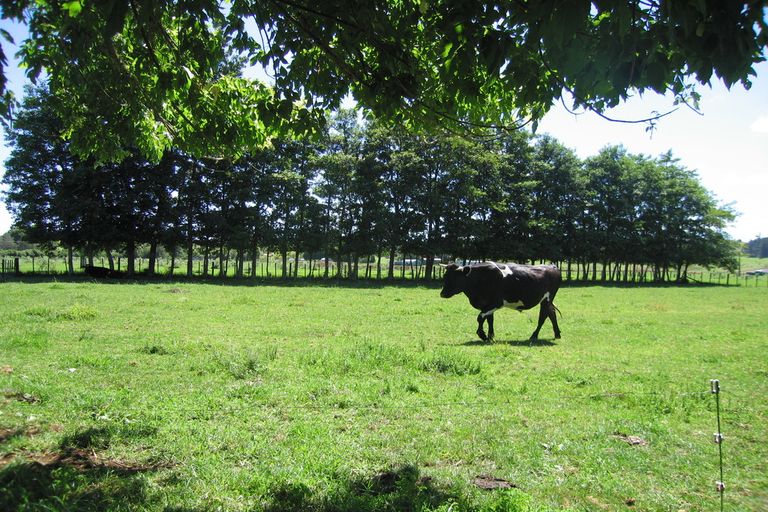 Photo of property in 5 Ludbrook Road, Pakaraka, Kaikohe, 0472