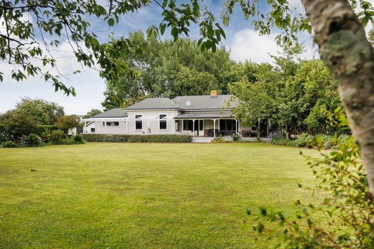 Photo of property in 394 Kairanga Bunnythorpe Road, Bunnythorpe, Palmerston North, 4478