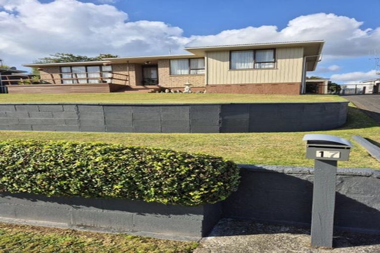 Photo of property in 17 Girvan Place, Tokoroa, 3420
