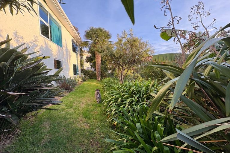 Photo of property in 110 Quebec Road, Washington Valley, Nelson, 7010