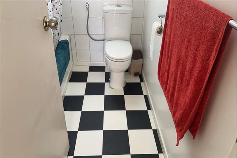 Photo of property in 160 Tiro Tiro Road, Levin, 5510