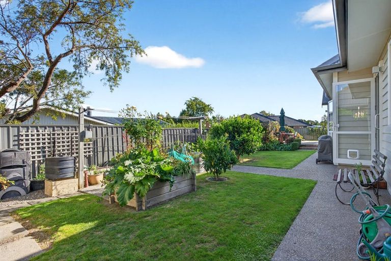 Photo of property in 13 Tarata Grove, Lansdowne, Masterton, 5810