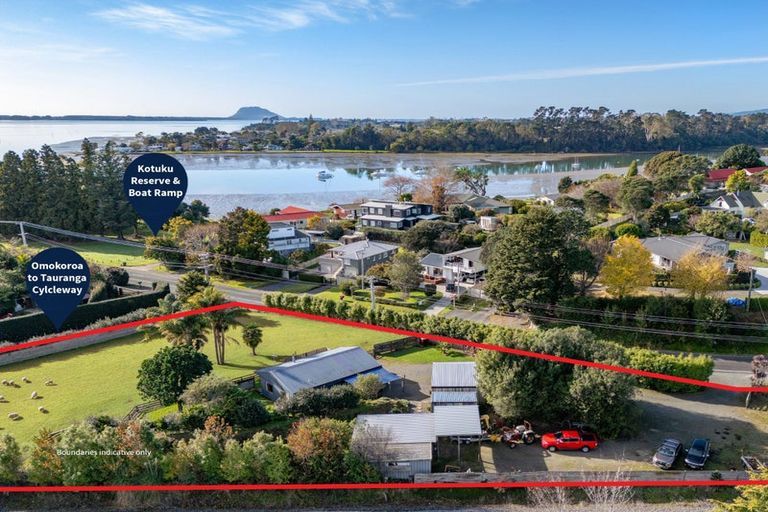 Photo of property in 249 Plummers Point Road, Whakamarama, Tauranga, 3172
