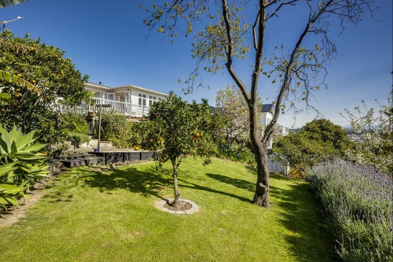 Photo of property in 42 Simla Terrace, Hospital Hill, Napier, 4110