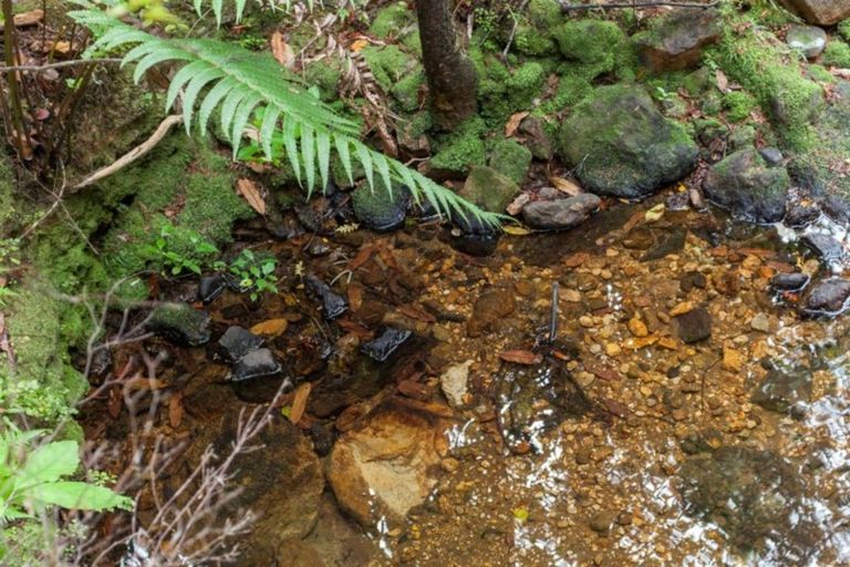 Photo of property in 125b Sailors Grave Road, Pumpkin Hill, Whitianga, 3591