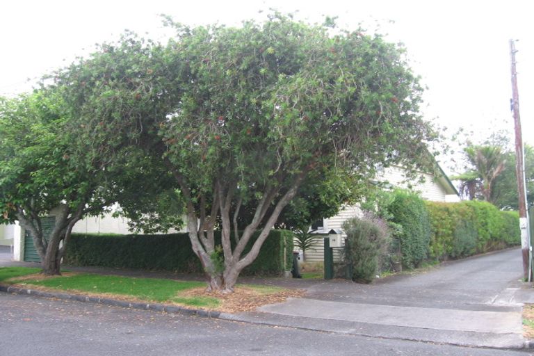 Photo of property in 14 Wiremu Street, Mount Eden, Auckland, 1041