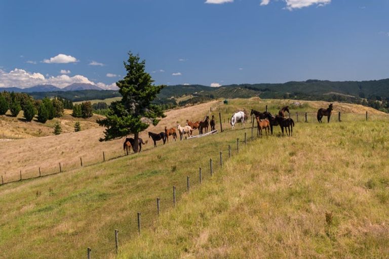 Photo of property in 103 George Harvey Road, Upper Moutere, 7173