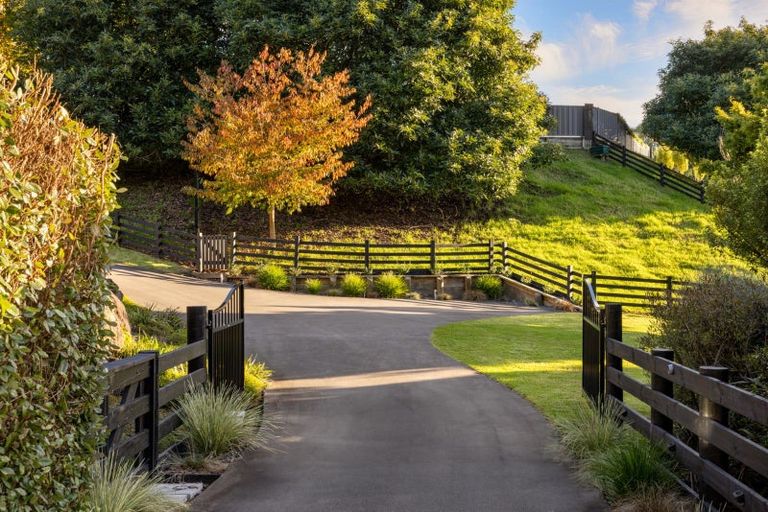 Photo of property in 8 Plane Tree Lane, Tauriko, Tauranga, 3110