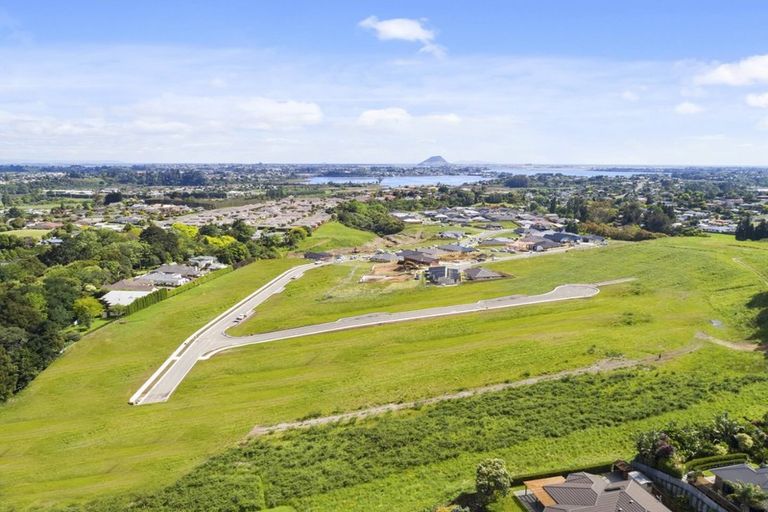Photo of property in 23 Hass Drive, Ohauiti, Tauranga, 3112