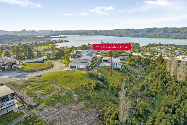 Photo of property in 113 Te Pamahue Drive, Whangamata, 3620