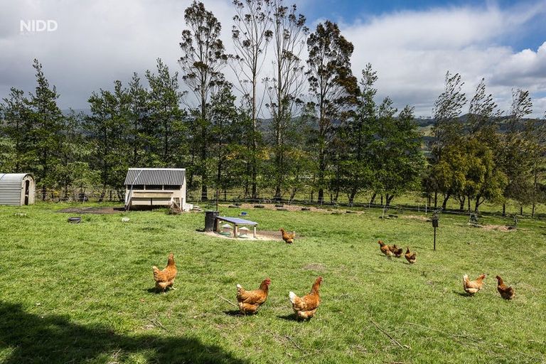 Photo of property in 847 Mount Cargill Road, Mount Cargill, Waitati, 9085